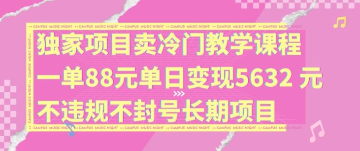 独家项目卖冷门教学课程一单88元单日变现5632元违规不封号长期项目【揭秘】-九天资源站