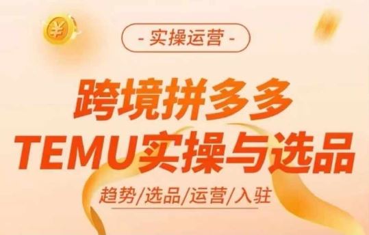 跨境拼多多TEMU实操与选品，多多temu跨境选品运营实操-九天资源站