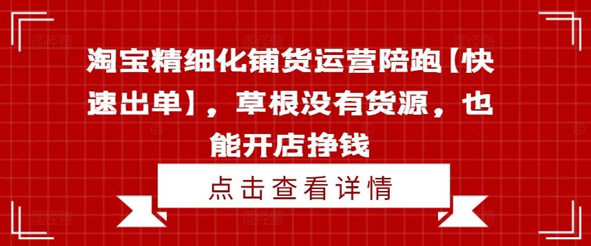 淘宝精细化铺货运营陪跑【快速出单】，草根没有货源，也能开店挣钱-九天资源站
