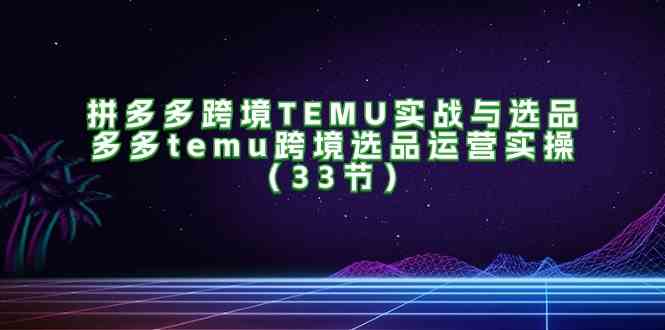 拼多多跨境TEMU实战与选品，多多temu跨境选品运营实操（33节）-九天资源站