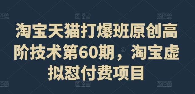 淘宝天猫打爆班原创高阶技术第60期，淘宝虚拟怼付费项目-九天资源站
