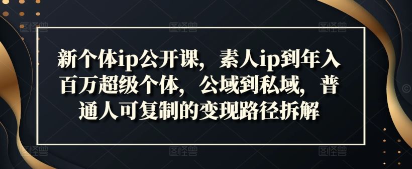 新个体ip公开课，素人ip到年入百万超级个体，公域到私域，普通人可复制的变现路径拆解-九天资源站
