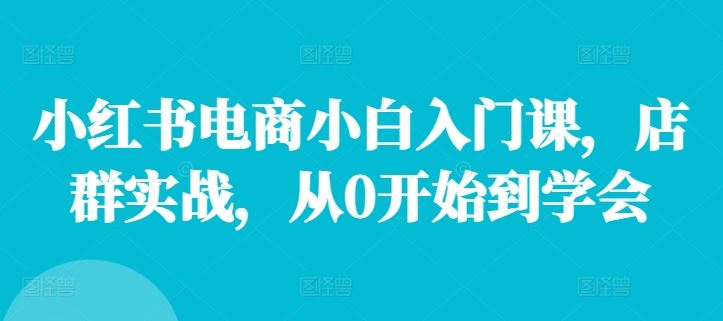 小红书电商小白入门课，店群实战，从0开始到学会-九天资源站