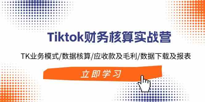 Tiktok财务核算实战营：TK业务模式/数据核算/应收款及毛利/数据下载及报表-九天资源站