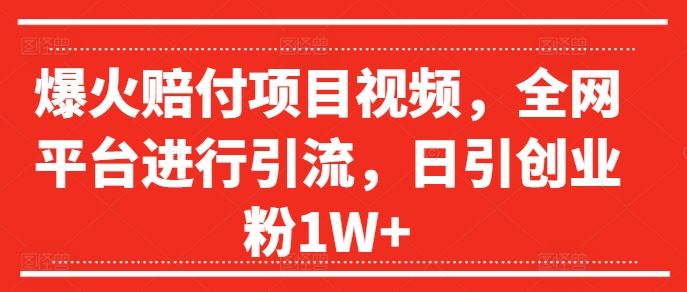爆火赔付项目视频，全网平台进行引流，日引创业粉1W+【揭秘】-九天资源站