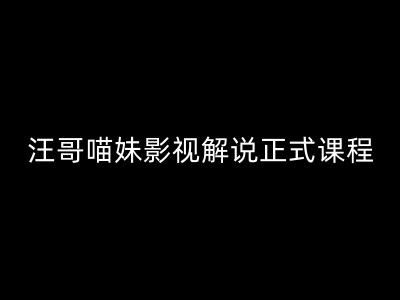 汪哥影视解说正式课程：剪映/PR教学/视解说剪辑5大黄金法则/全流程剪辑7把利器等等-九天资源站