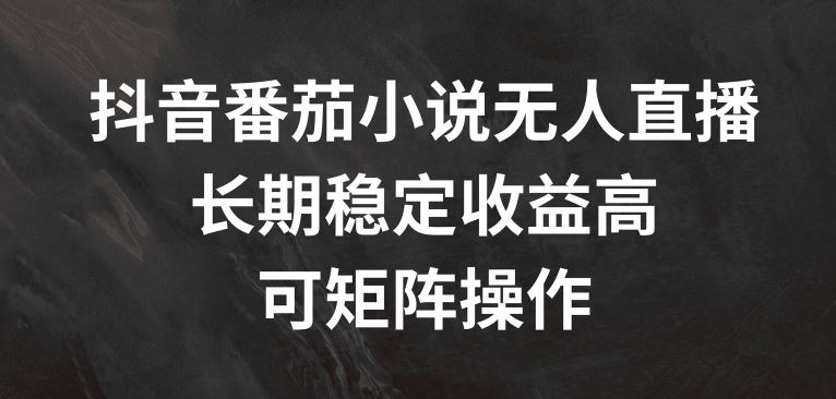 抖音番茄小说无人直播，长期稳定收益高，可矩阵操作【揭秘】-九天资源站