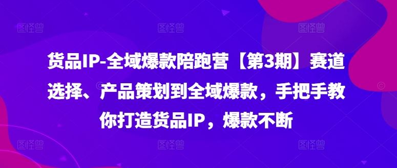 货品IP全域爆款陪跑营【第3期】赛道选择、产品策划到全域爆款，手把手教你打造货品IP，爆款不断-九天资源站