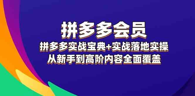 拼多多会员实战宝典+实战落地实操，从新手到高阶内容全面覆盖-九天资源站