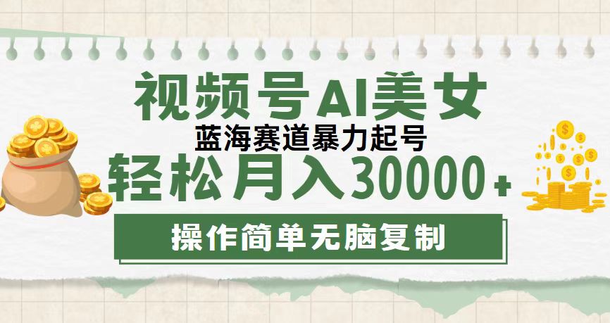 （12087期）视频号AI美女跳舞，轻松月入30000+，蓝海赛道，流量池巨大，起号猛，无…-九天资源站
