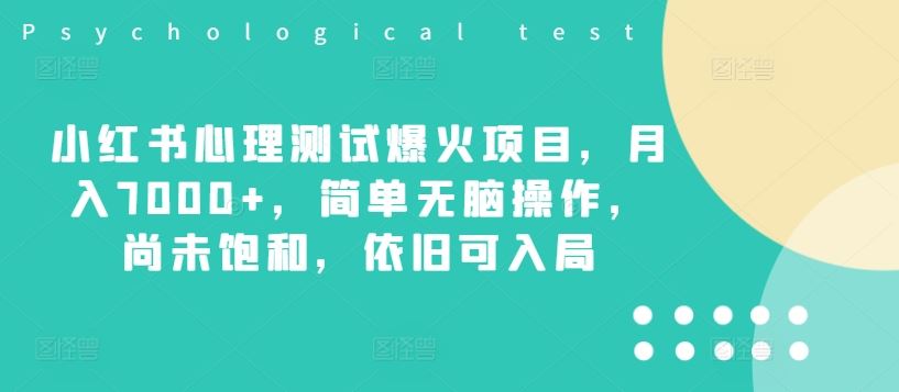 小红书心理测试爆火项目，月入7000+，简单无脑操作，尚未饱和，依旧可入局-九天资源站