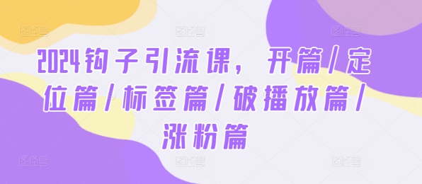 2024钩子引流课，开篇/定位篇/标签篇/破播放篇/涨粉篇-九天资源站