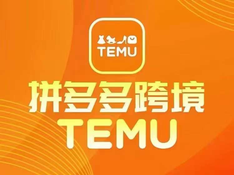 最新TEMU拼多多跨境教程，开店、运营、选品-九天资源站