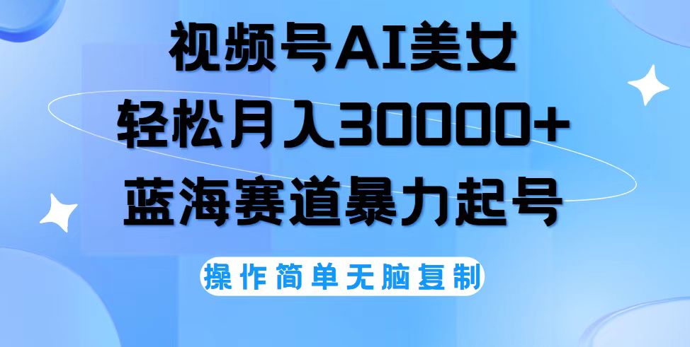 （12125期）视频号AI美女跳舞，轻松月入30000+，蓝海赛道，流量池巨大，起号猛，无…-九天资源站