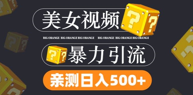 搬运tk美女视频全网分发，日引s粉300+，轻松变现，不限流量不封号-九天资源站