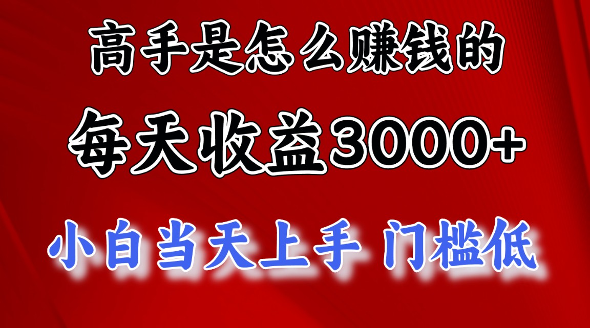 （12144期）1天收益3000+，月收益10万以上，24年8月份爆火项目-九天资源站