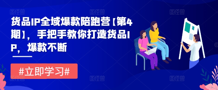 货品IP全域爆款陪跑营【第4期】，手把手教你打造货品IP，爆款不断-九天资源站