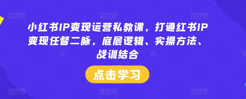 小红书IP变现运营私教课，打通红书IP变现任督二脉，底层逻辑、实操方法、战训结合-九天资源站