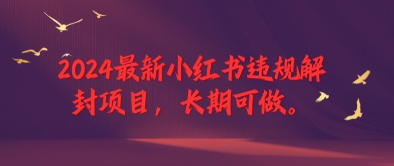2024最新小红书违规解封项目，长期可做，一个可以做到退休的项目-九天资源站