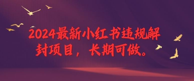 2024最新小红书违规解封项目，长期可做，一个可以做到退休的项目【揭秘】-九天资源站