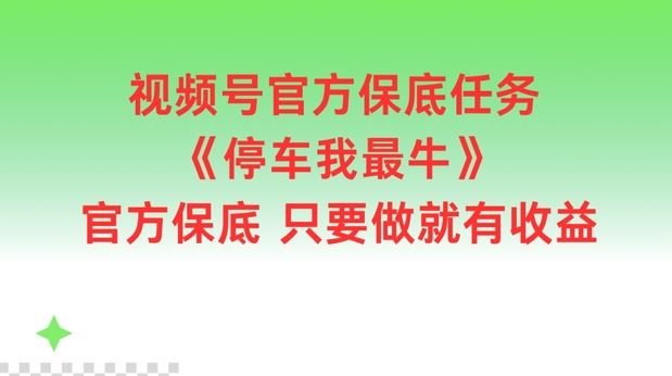 视频号官方保底任务，停车我最牛，官方保底只要做就有收益【揭秘】-九天资源站