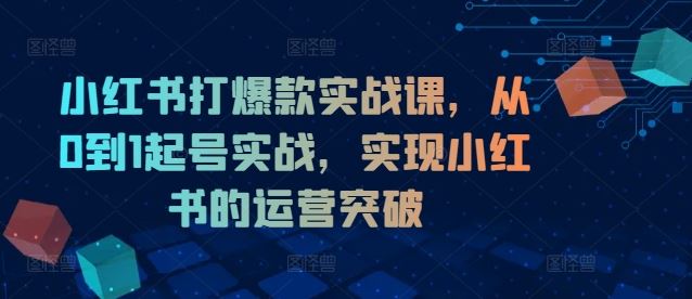 小红书打爆款实战课，从0到1起号实战，实现小红书的运营突破-九天资源站