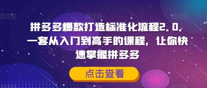 拼多多爆款打造标准化流程2.0，一套从入门到高手的课程，让你快速掌握拼多多-九天资源站