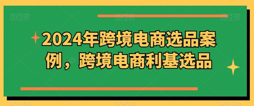 2024年跨境电商选品案例，跨境电商利基选品（更新）-九天资源站