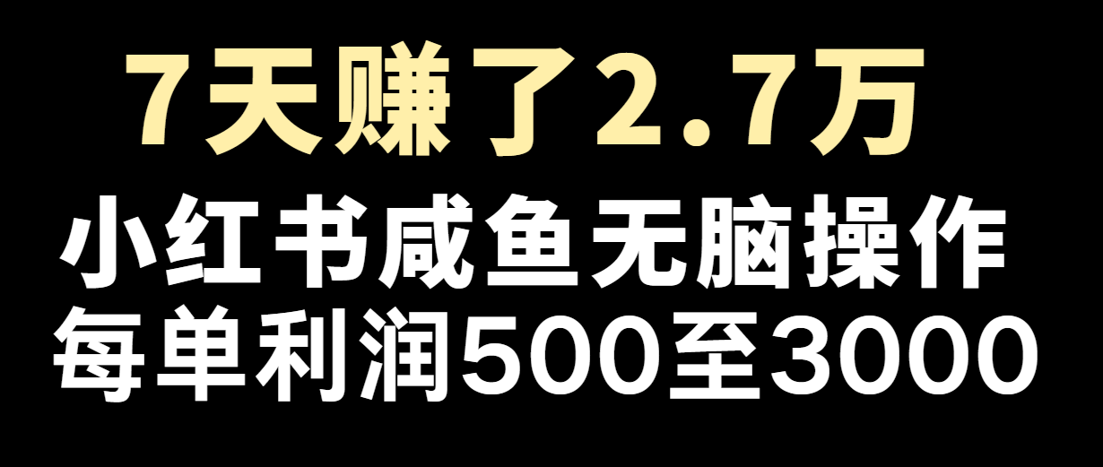 七天赚了2.7万！每单利润最少500+，轻松月入5万+小白有手就行-九天资源站