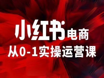 小红书电商从0-1实操运营课，让你从小白到精英-九天资源站