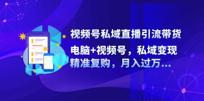 （12249期）视频号私域直播引流带货：电脑+视频号，私域变现，精准复购，月入过万…-九天资源站