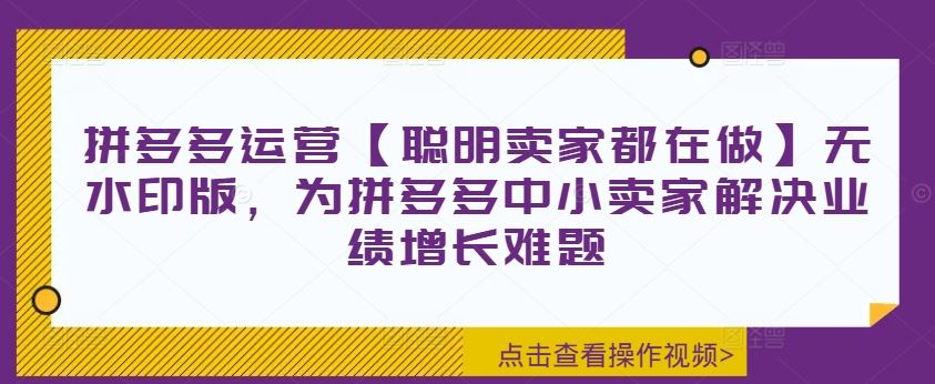 拼多多运营【聪明卖家都在做】无水印版，为拼多多中小卖家解决业绩增长难题-九天资源站