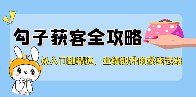 从入门到精通，勾子获客全攻略，业绩飙升的秘密武器-九天资源站