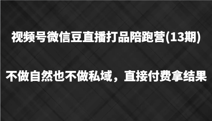 视频号微信豆直播打品陪跑(13期)，不做不自然流不做私域，直接付费拿结果-九天资源站