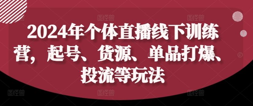 2024年个体直播训练营，起号、货源、单品打爆、投流等玩法-九天资源站
