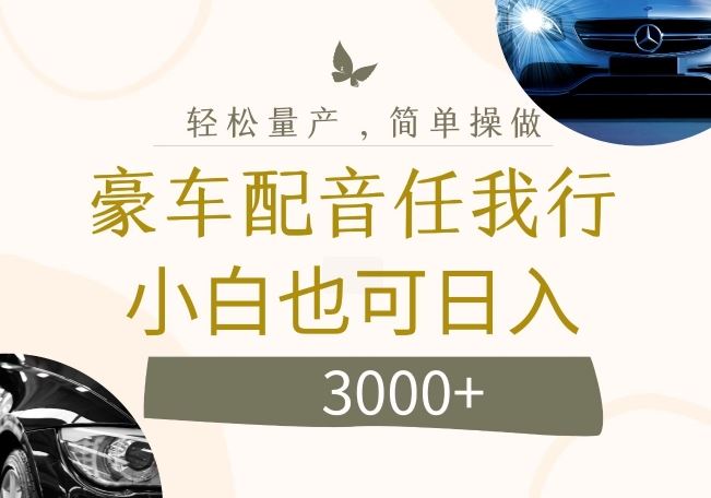 不为人知的暴力小项目，豪车配音，日入几张【揭秘】-九天资源站