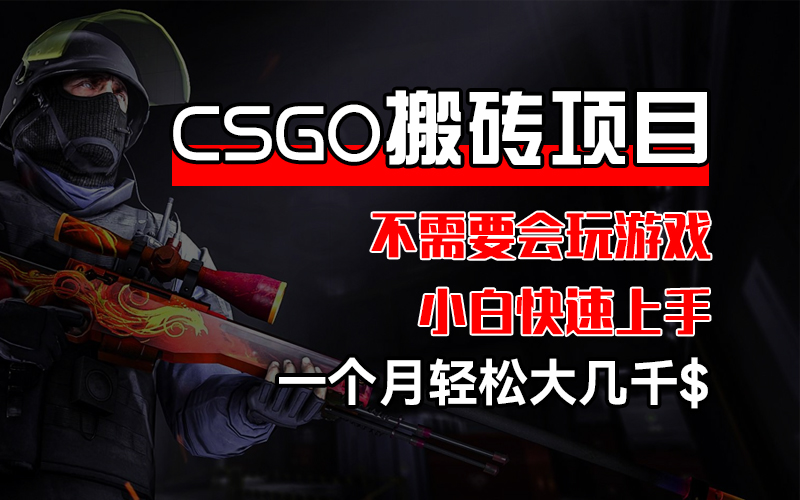 （12332期）CSGO 装备搬砖项目，操作简单，不需要会玩游戏，小白也能快速上手，一…-九天资源站