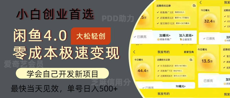 （12434期）闲鱼0成本极速变现项目，多种变现方式 单号日入500+最新玩法-九天资源站