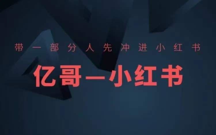 ​​带一部分人先冲进小红书，小红书开店、选品、爆款裂变-九天资源站