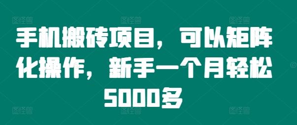 手机搬砖项目，可以矩阵化操作，新手一个月轻松5000多-九天资源站