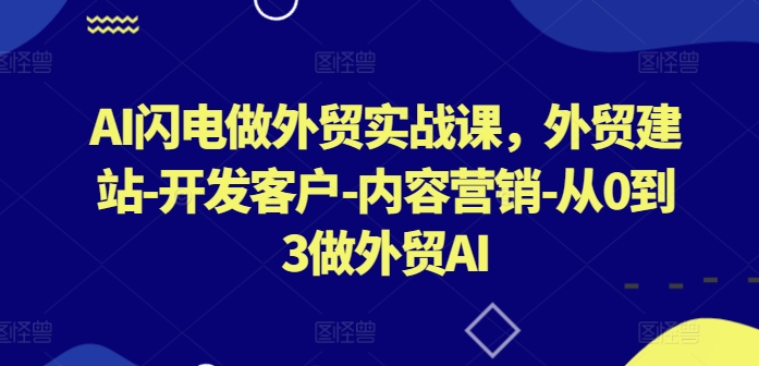 AI闪电做外贸实战课，​外贸建站-开发客户-内容营销-从0到3做外贸AI(更新)-九天资源站