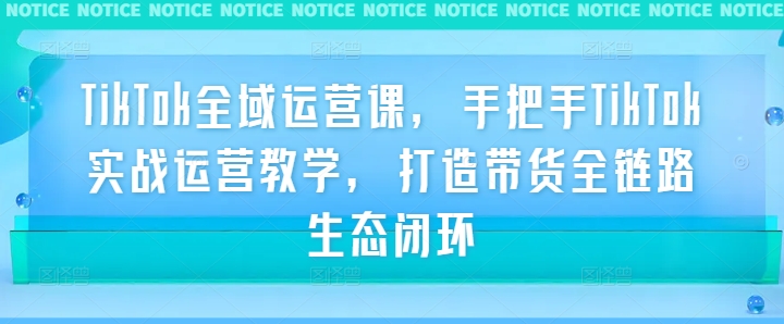 TikTok全域运营课，手把手TikTok实战运营教学，打造带货全链路生态闭环-九天资源站
