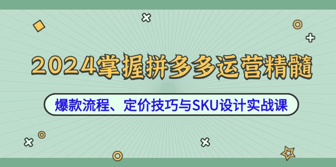 2024掌握拼多多运营精髓：爆款流程、定价技巧与SKU设计实战课-九天资源站
