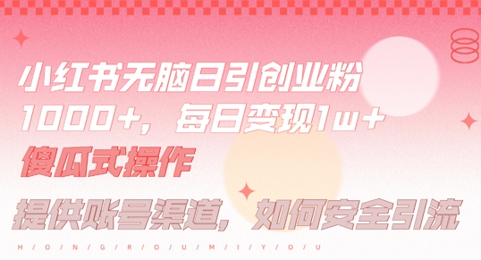 小红书无脑每日引流创业粉500+，小白每天只花半小时，躺赚长尾收益【揭秘】-九天资源站