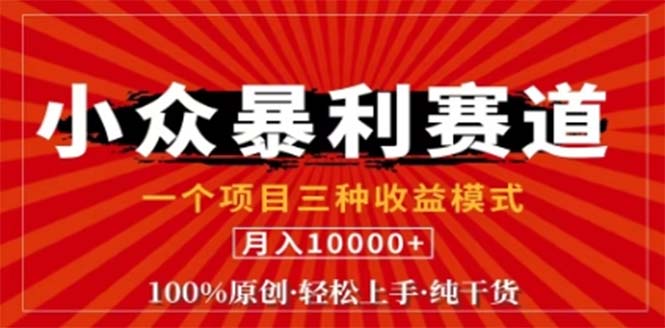 视频号最新爆火赛道，三种可收益模式，0粉新号条条原创条条热门 日入1000+-九天资源站