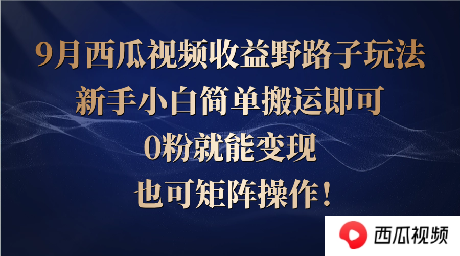 西瓜视频收益野路子玩法，新手小白简单搬运即可，0粉就能变现，也可矩…-九天资源站