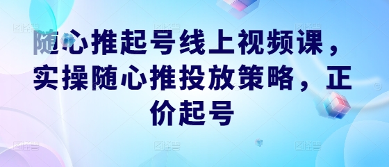 随心推起号线上视频课，实操随心推投放策略，正价起号-九天资源站