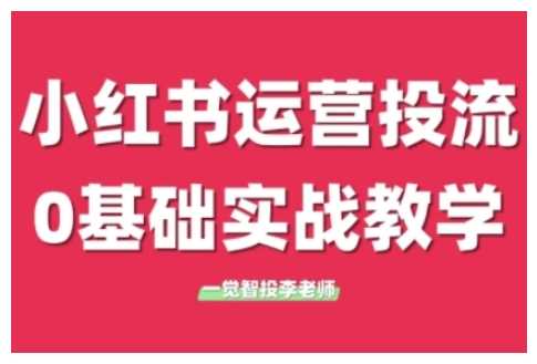 小红书运营投流，小红书广告投放从0到1的实战课，学完即可开始投放-九天资源站