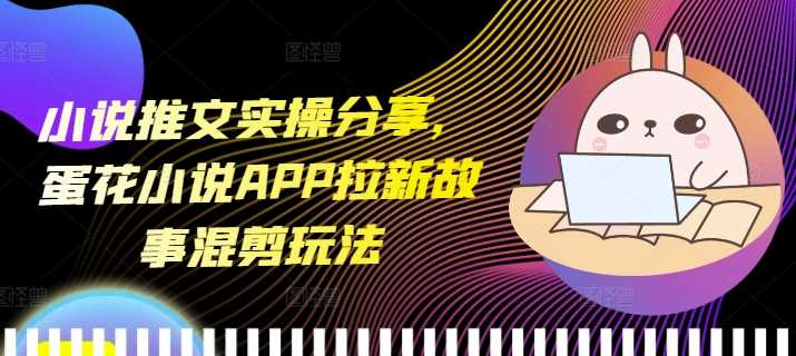 小说推文实操分享，蛋花小说APP拉新故事混剪玩法-九天资源站