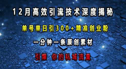 最新高效引流技术深度揭秘 ，单号单日引300+精准创业粉，一分钟一条原创素材，引爆你的私域流量-九天资源站